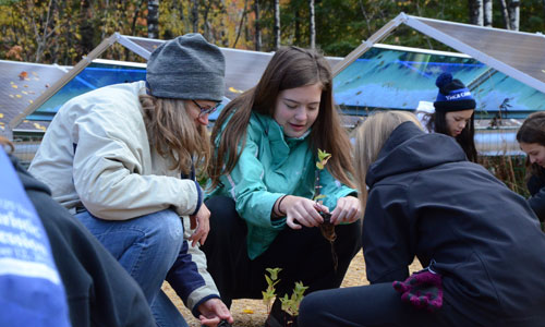 Holy Rosary students from Duluth plant pollinator habitat around solar installation at Laurentian Environmental Learning Center