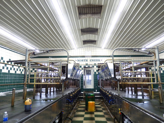 New LED lights in the milking parlor at Hoffman Farms