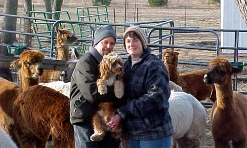 Happy alpacas with their owners at Rach-Al-Paca Farm