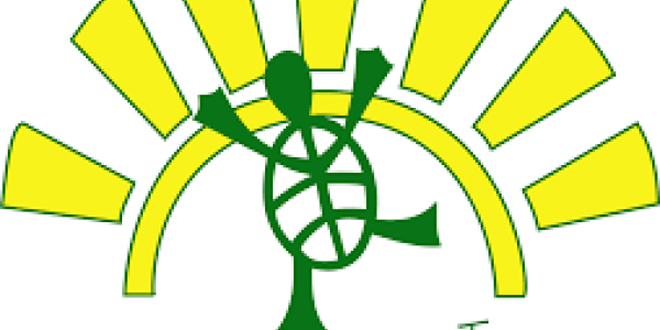 logo of Happy Dancing Turtle showing yellow sun rays and green dancing turtle with words "Happy Dancing Turtle"