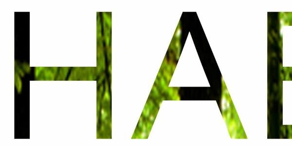 conference logo: letters ENHABIT with shades of green