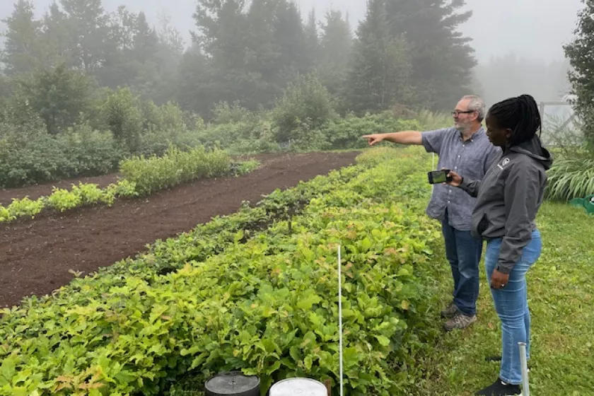 david and cinderella