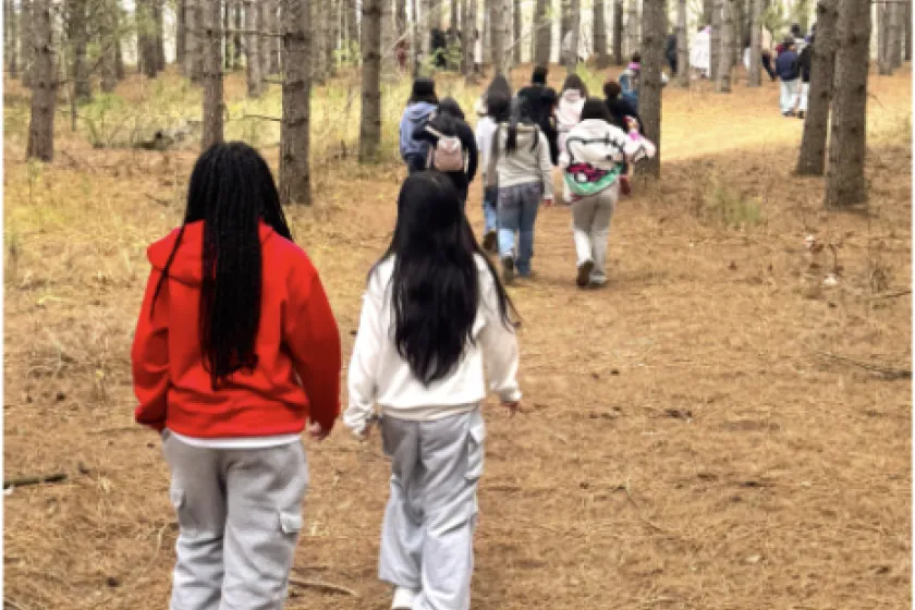 Many youth walk through a pine forest. 2026.