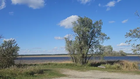 Landscape of Bois Forte prairie 