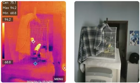 side by side thermal test
