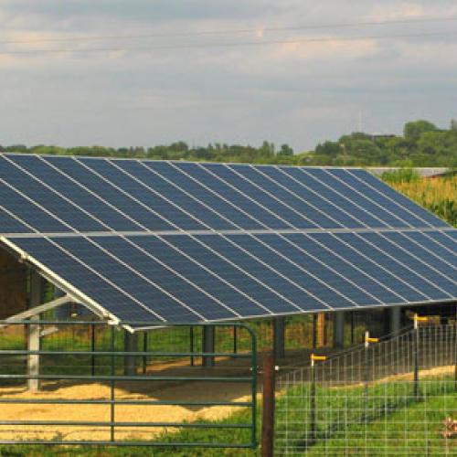 Solar installation at Bridgeview Farms