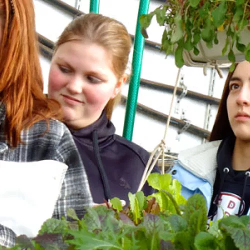 Students learn about passive solar greenhouses in Milan