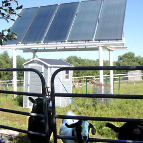 Solar thermal hot water collectors and goats at the Rach-Al-Paca Farm