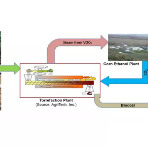 Torrefaction Diagram