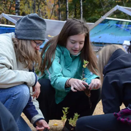 Holy Rosary students from Duluth plant pollinator habitat around solar installation at Laurentian Environmental Learning Center