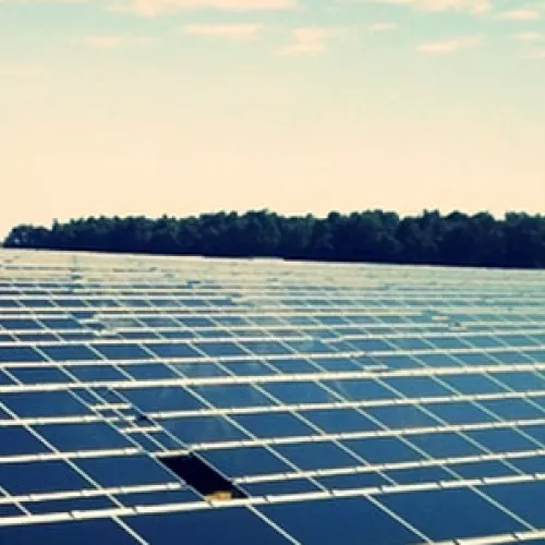 Eichten's organic cheese farm's soon to be 1 megawatt Community Solar Garden