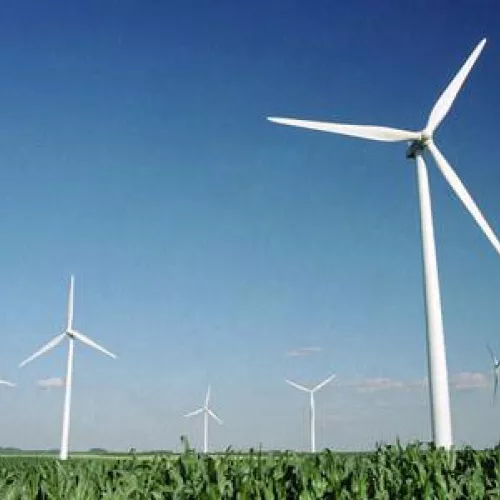 Wind turbines over a Minnesota corn field