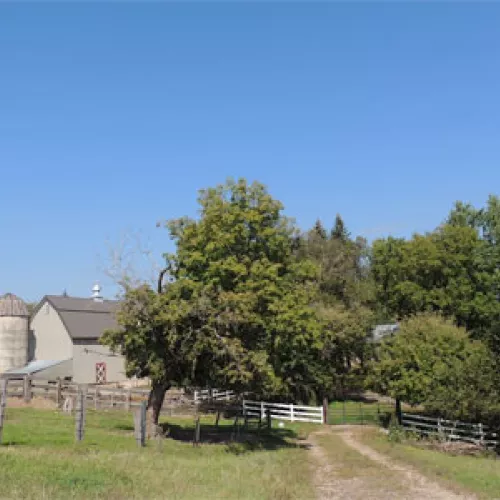 The Popp Farm in Royalton, MN