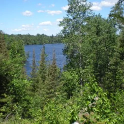 Scholarship available to Minnesota residents in Environmental programs