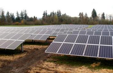 community solar coop