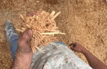handful of woodchips