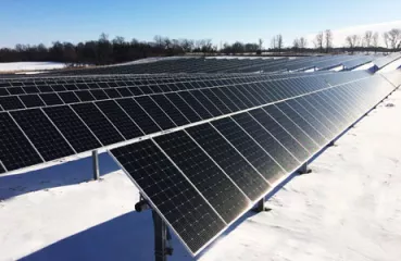 buffalo solar