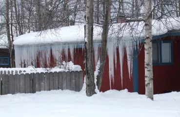 ice dams