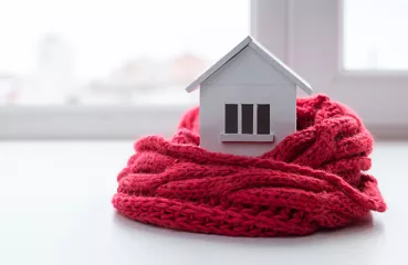 cozy home