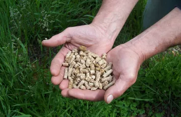 Hands holding waste fiber pellets 