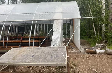 Solar panel near hoophouse