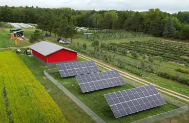 berry farm