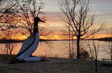 Picture of vergas loon statue