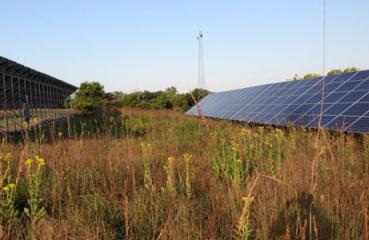 Pollinator-friendly prairie habitat around DNR solar installation