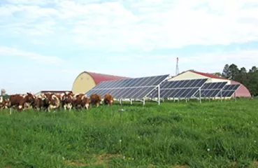 Solar at Enchanted Meadows