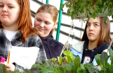 Students learn about passive solar greenhouses in Milan