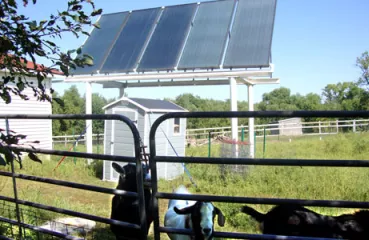 Solar thermal hot water collectors and goats at the Rach-Al-Paca Farm