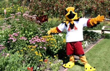 Regal the Eagle in Nature Nook