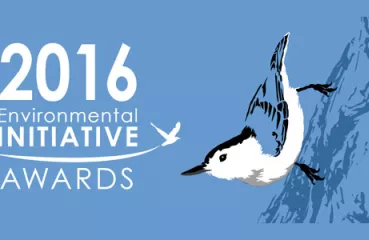 2016 EI Awards