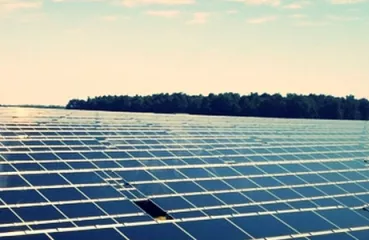 Eichten's organic cheese farm's soon to be 1 megawatt Community Solar Garden