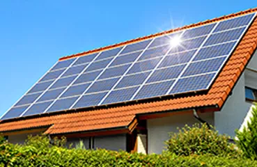 Healthy, green homes