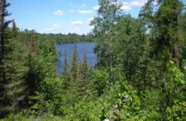 Scholarship available to Minnesota residents in Environmental programs