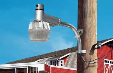LED yard light