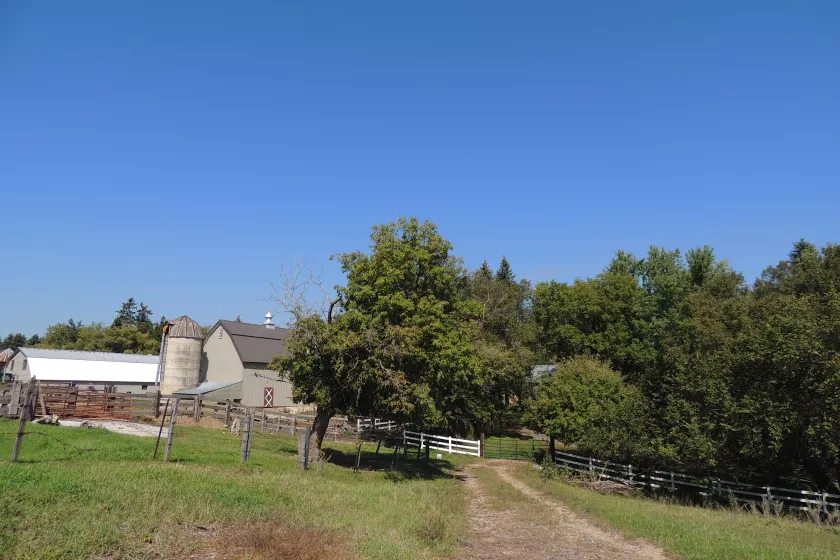 Popp Farm