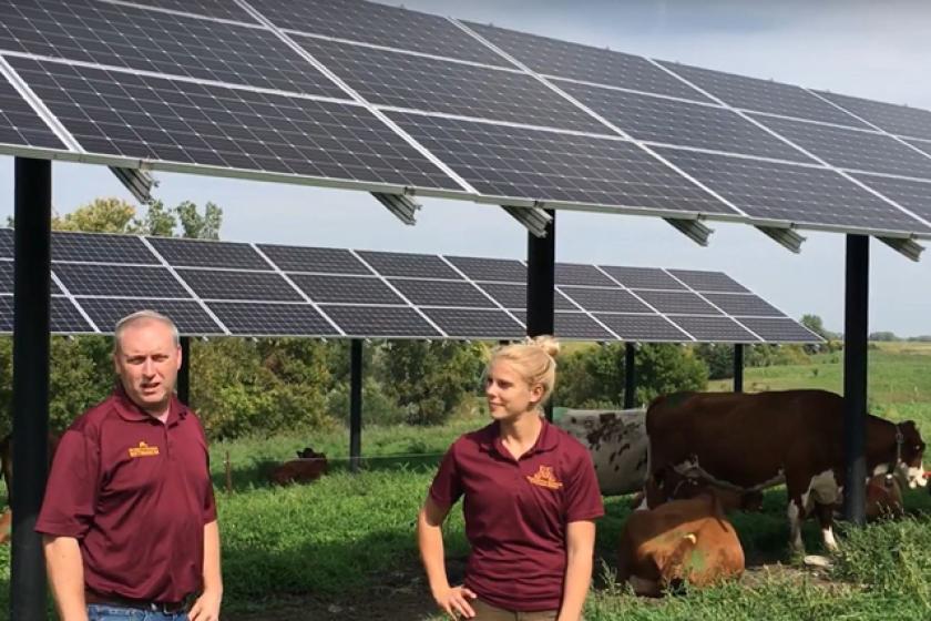 Solar shading for cows in Morris