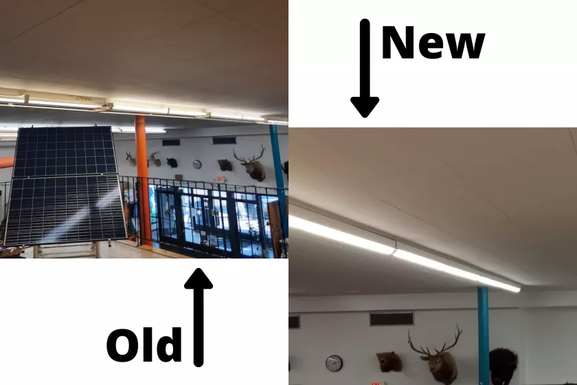 newold