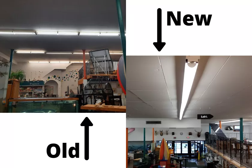 newold