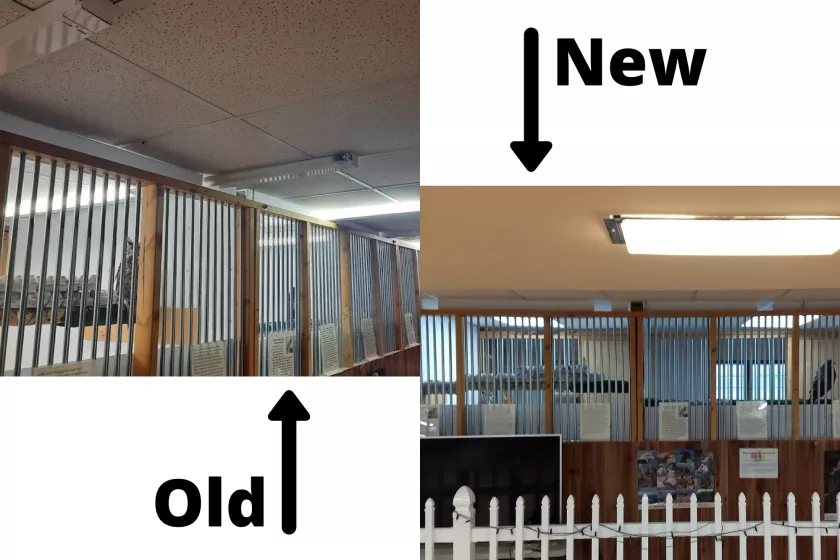 newold