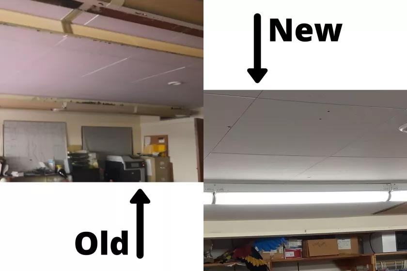 newold