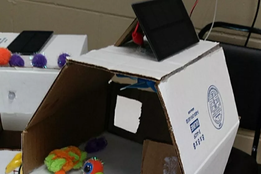 solar model