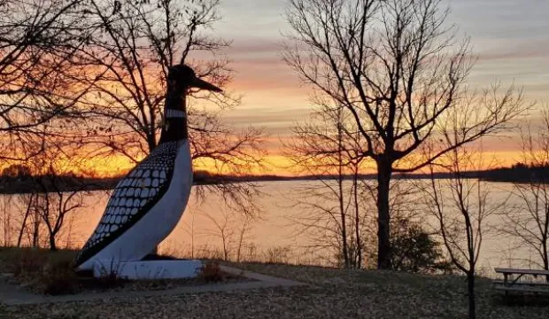 Picture of vergas loon statue