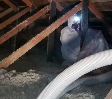 remediation contractor