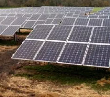 community solar coop