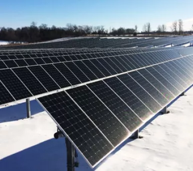 buffalo solar