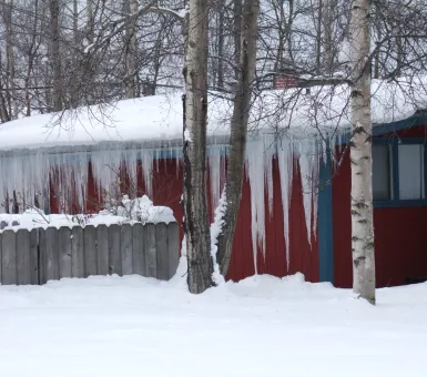 ice dams