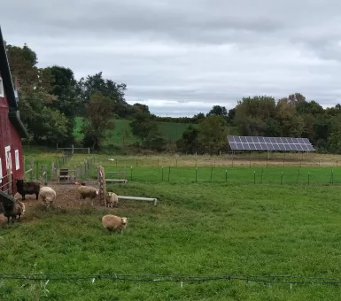solar in the field